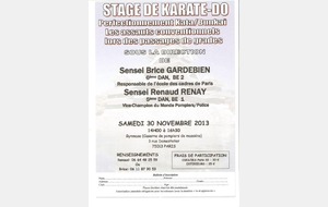 stage Kata Bunkai samedi 30 novembre 2013 à Paris