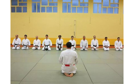 Stage de perfectionnement kata bunkai à Paris 
