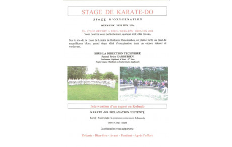 Grand stage 2014 à Buthiers Malesherbes 